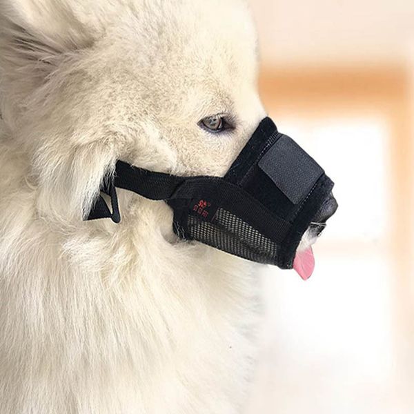 1pc dog training tools pet products anti bite muzzle masks dog muzzle mask mesh breathable schewing adjustable strap
1pc dog training tools pet products anti bite muzzle masks dog muzzle mask mesh breathable schewing adjustable strap
