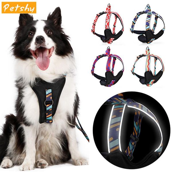 dog collars & leashes petshy glowing collar leash small medium large harness chest vest adjustable reflective pet traction rope
dog collars & leashes petshy glowing collar leash small medium large harness chest vest adjustable reflective pet traction rope