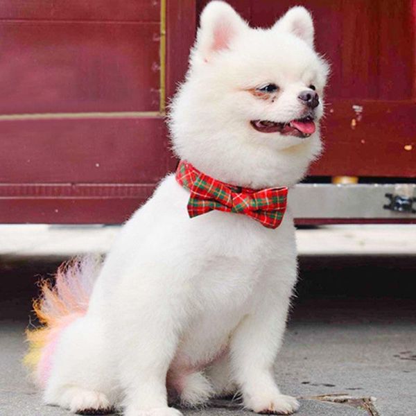 dog collar with bow lattice cloth adjustable retractable durable fashion pet decoration supplies suitable for small medium collars & leashes
dog collar with bow lattice cloth adjustable retractable durable fashion pet decoration supplies suitable for small medium collars & leashes