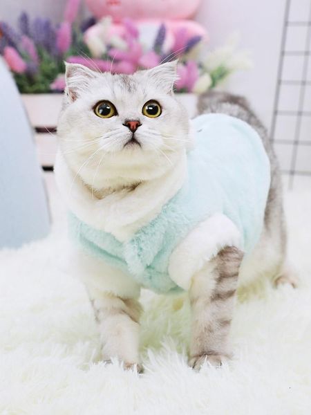cat costumes animals luxury warm hoodies christmas outfit cats costume clothes suit sweater ropa gato invierno oo50wy
cat costumes animals luxury warm hoodies christmas outfit cats costume clothes suit sweater ropa gato invierno oo50wy