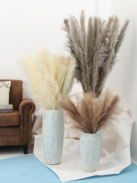 decorative flowers & wreaths 10pcs natural reed dried flower pampas grass bouquet wedding ceremony decoration modern home fast
decorative flowers & wreaths 10pcs natural reed dried flower pampas grass bouquet wedding ceremony decoration modern home fast