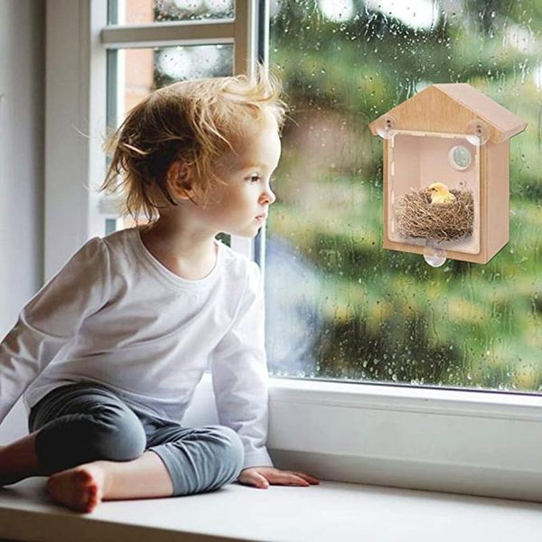 wooden bird nests suction cup visible home window birdhouse feed dispenser container wild birds observation nest cages
wooden bird nests suction cup visible home window birdhouse feed dispenser container wild birds observation nest cages