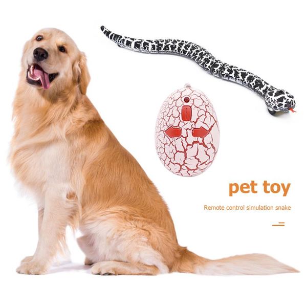 cat toys snake prank trick infrared remote control egg rattlesnake animal interesting for kids gift with battery
cat toys snake prank trick infrared remote control egg rattlesnake animal interesting for kids gift with battery