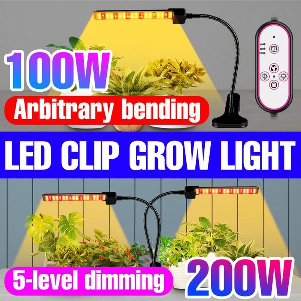 grow lights 12v full spectrum plant led light 100w 200w 300w 400w bulb vegs phytolamps for seedlings fito lamps indoor flower tent
grow lights 12v full spectrum plant led light 100w 200w 300w 400w bulb vegs phytolamps for seedlings fito lamps indoor flower tent