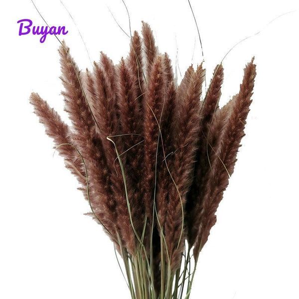 decorative flowers & wreaths dried small reed pampas grass pantas artificiales para decoracion real plants home decor wedding decoration
decorative flowers & wreaths dried small reed pampas grass pantas artificiales para decoracion real plants home decor wedding decoration