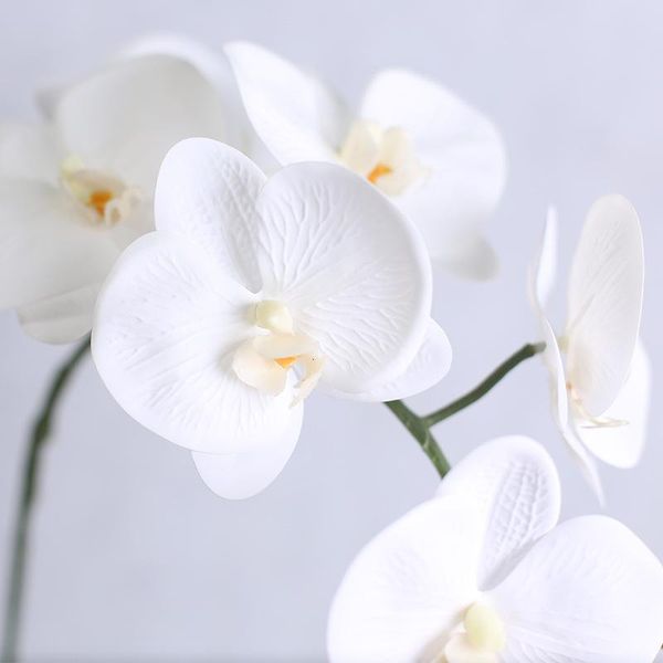 butterfly orchid artificial flowers plants home wedding decoration silk plastic natural rose petals vase florist supplie decorative & wreath
butterfly orchid artificial flowers plants home wedding decoration silk plastic natural rose petals vase florist supplie decorative & wreath