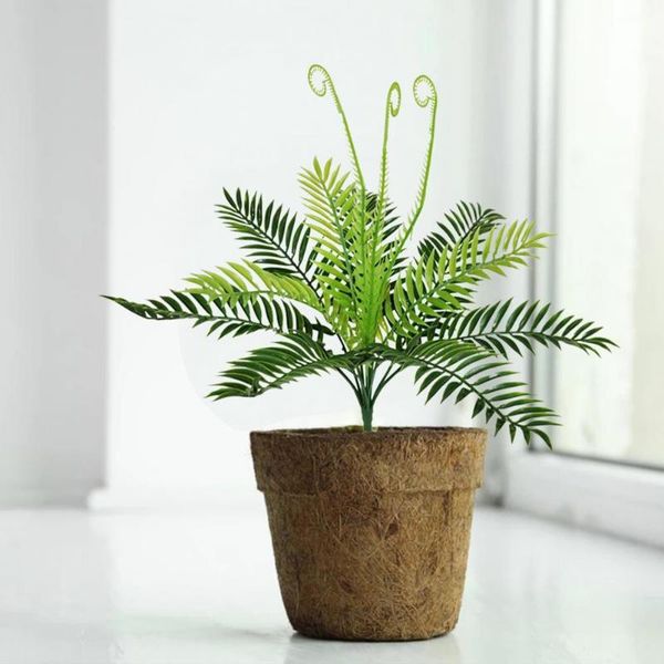 decorative flowers & wreaths nordic style artificial plant vivid fine craftsmanship plastic simulation sago cycas decor green money leaf des
decorative flowers & wreaths nordic style artificial plant vivid fine craftsmanship plastic simulation sago cycas decor green money leaf des