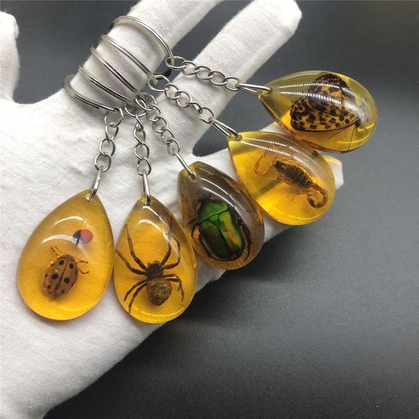 keychains real scorpion keychain - luminous product crab and key chain bag car ring, Silver
keychains real scorpion keychain - luminous product crab and key chain bag car ring, Silver