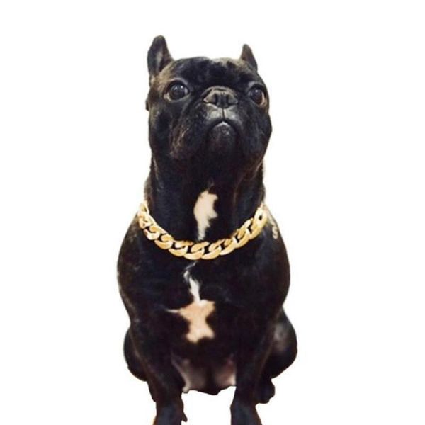 dog collars & leashes fashion pet collar thick chain necklace gold-plated plastic puppy jewelry accessories pendant gold
dog collars & leashes fashion pet collar thick chain necklace gold-plated plastic puppy jewelry accessories pendant gold