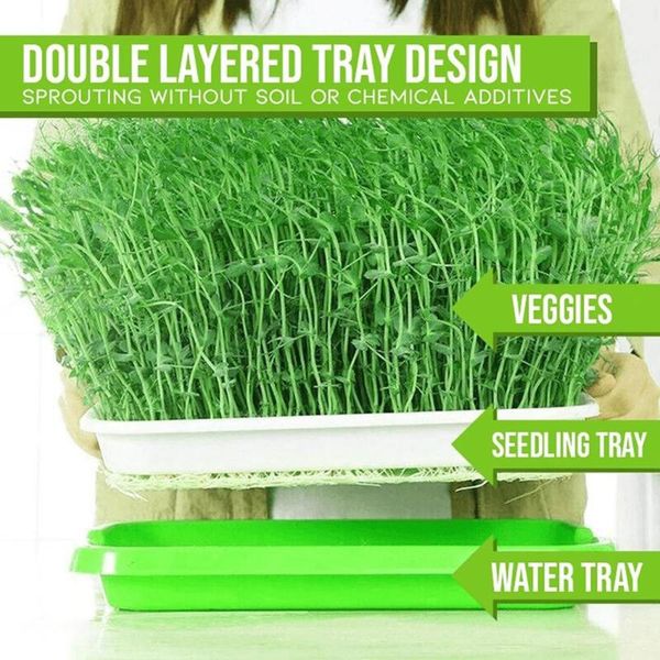 planters & pots 2 layer hydroponic tray for begginers microgreens sprouts brand
planters & pots 2 layer hydroponic tray for begginers microgreens sprouts brand