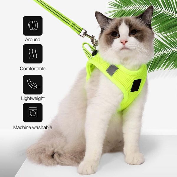 adjustable soft mesh cat vest harness leash set breathable walking escape proof ultra light kitten with reflective strap collars & leads
adjustable soft mesh cat vest harness leash set breathable walking escape proof ultra light kitten with reflective strap collars & leads