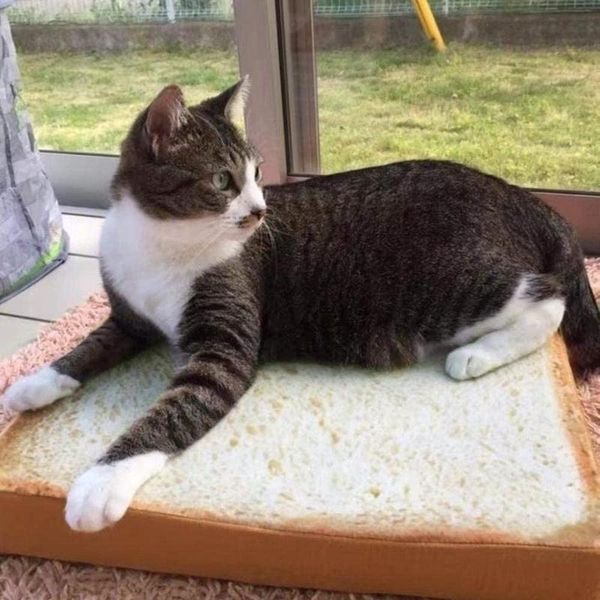creative pet toast bread mat square removable cat dogs kennel thick cushion soft velvet sleep beds for pets washable & furniture
creative pet toast bread mat square removable cat dogs kennel thick cushion soft velvet sleep beds for pets washable & furniture