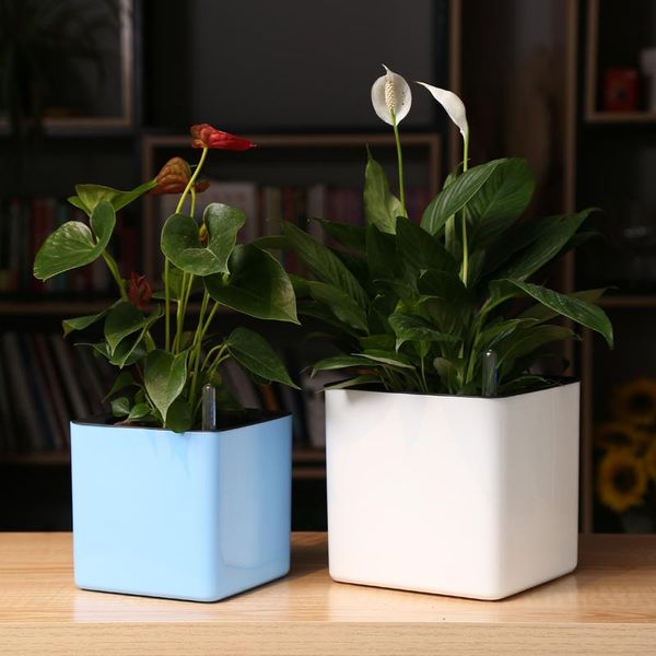 planters & pots four colour margic square lazy self absorption water creative personalized porcelain plastic flower pot for graden plant
planters & pots four colour margic square lazy self absorption water creative personalized porcelain plastic flower pot for graden plant