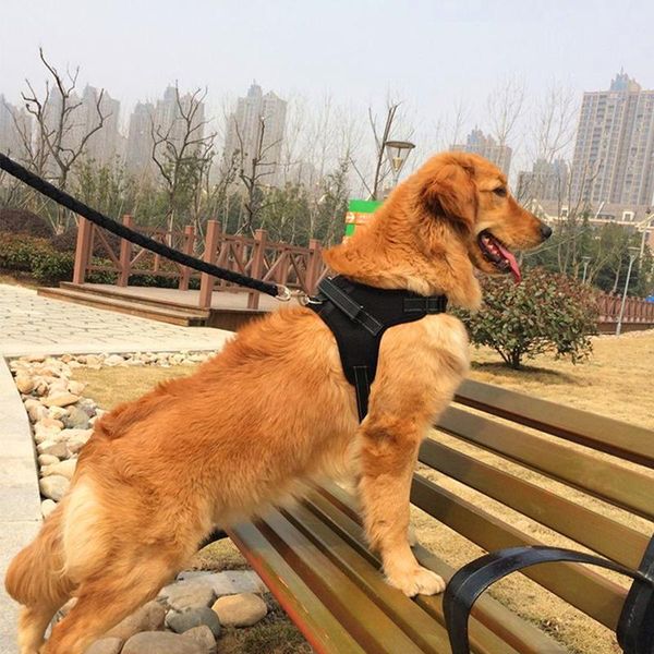 dog collars & leashes 5 colors pet harness samll medium large breathable o style vest leash lead set
dog collars & leashes 5 colors pet harness samll medium large breathable o style vest leash lead set
