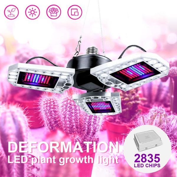 plant growth lights greenhouse succulent supplement light planting led folding deformation waterproof grow
plant growth lights greenhouse succulent supplement light planting led folding deformation waterproof grow