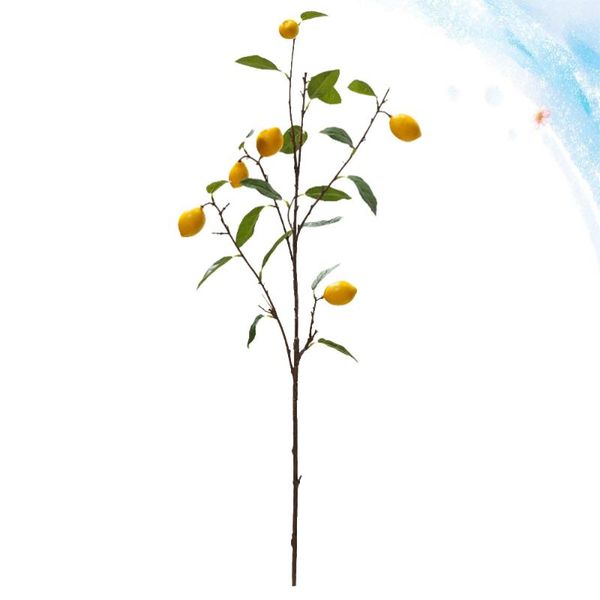 decorative flowers & wreaths 1pc simulated branches decor imitation single green plants dry flower ornament realistic arrangement
decorative flowers & wreaths 1pc simulated branches decor imitation single green plants dry flower ornament realistic arrangement