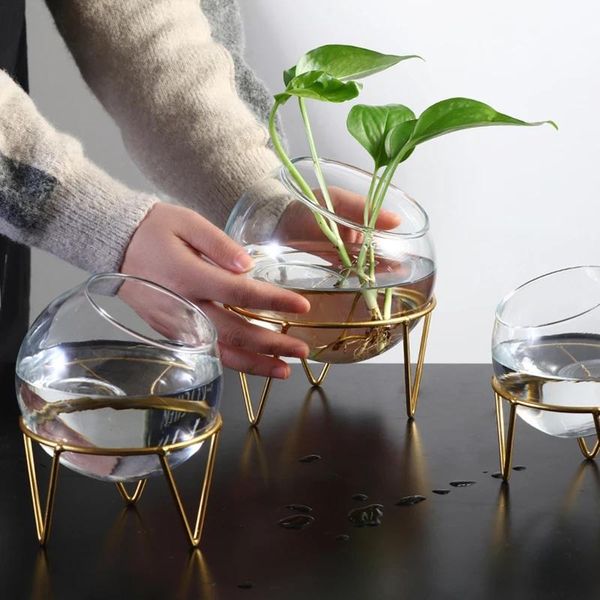 vases round glass vase fish tank transparent hydroponic candle holder living room decoration
vases round glass vase fish tank transparent hydroponic candle holder living room decoration