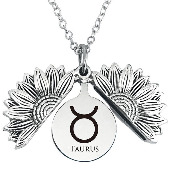 2021 sunflower necklace 12 zodiac necklace alloy unique open locket pendant women party love jewelry gift 12 constellations jewelry, Silver
2021 sunflower necklace 12 zodiac necklace alloy unique open locket pendant women party love jewelry gift 12 constellations jewelry, Silver
