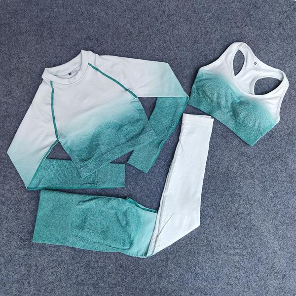 yoga outfit seamless set pant suit long superior harvest push up gym sports bra workout leggings running
yoga outfit seamless set pant suit long superior harvest push up gym sports bra workout leggings running