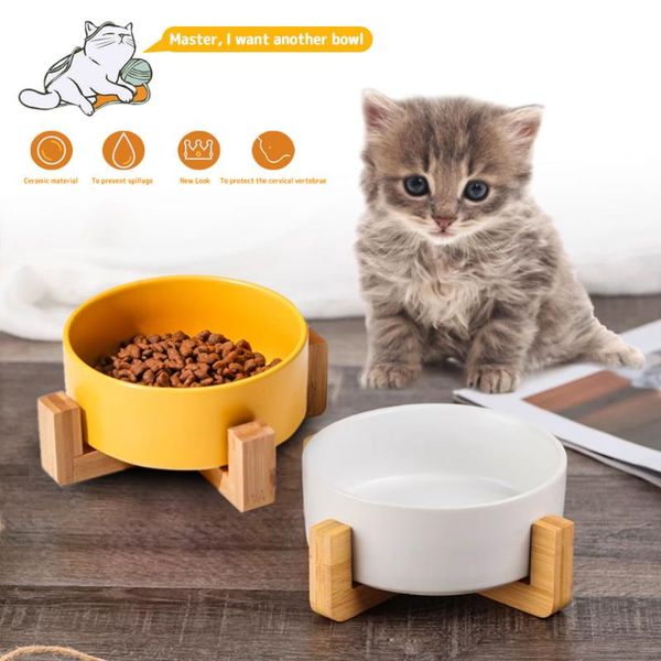 cat bowls & feeders single/double raised bowl feeder non-slip ceramic kitten puppy feeding water station container pet supply
cat bowls & feeders single/double raised bowl feeder non-slip ceramic kitten puppy feeding water station container pet supply