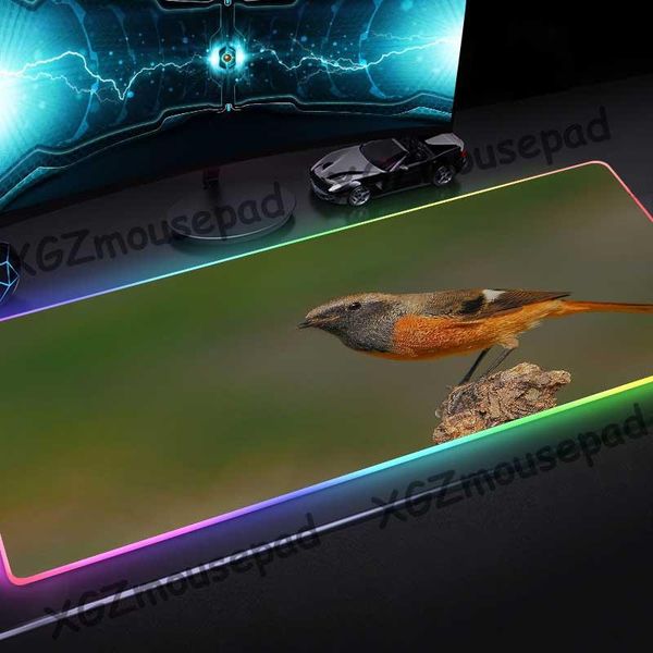 mouse pads & wrist rests xgz animal bird hd large rgb gaming luminous pad black lock edge custom computer desk mat rubber non-slip 900x400/8
mouse pads & wrist rests xgz animal bird hd large rgb gaming luminous pad black lock edge custom computer desk mat rubber non-slip 900x400/8