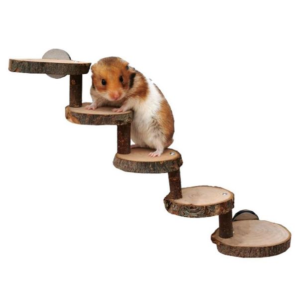 small animal supplies hamster toy wooden bridge safe ladder mini pet climbing stair cage toys
small animal supplies hamster toy wooden bridge safe ladder mini pet climbing stair cage toys