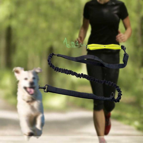 dog collars & leashes leash running nylon hand y pet products dogs harness collar jogging lead adjustable waist traction belt rope
dog collars & leashes leash running nylon hand y pet products dogs harness collar jogging lead adjustable waist traction belt rope