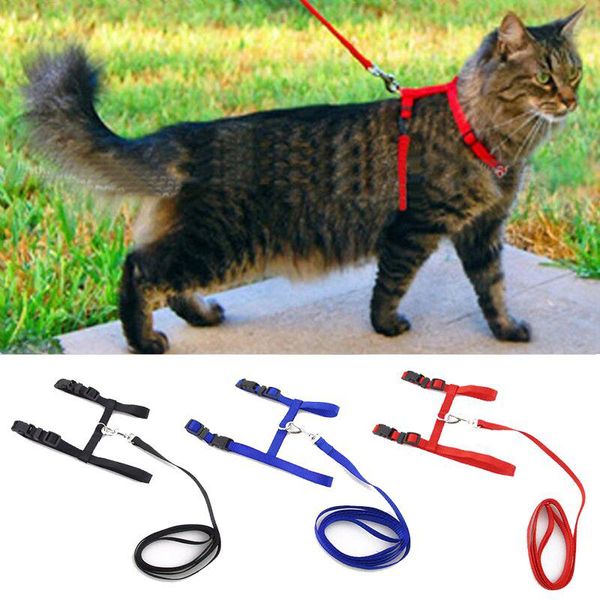 1pcs cat dog collar harness leash adjustable nylon pet traction kitten cats products for belt collars & leads
1pcs cat dog collar harness leash adjustable nylon pet traction kitten cats products for belt collars & leads