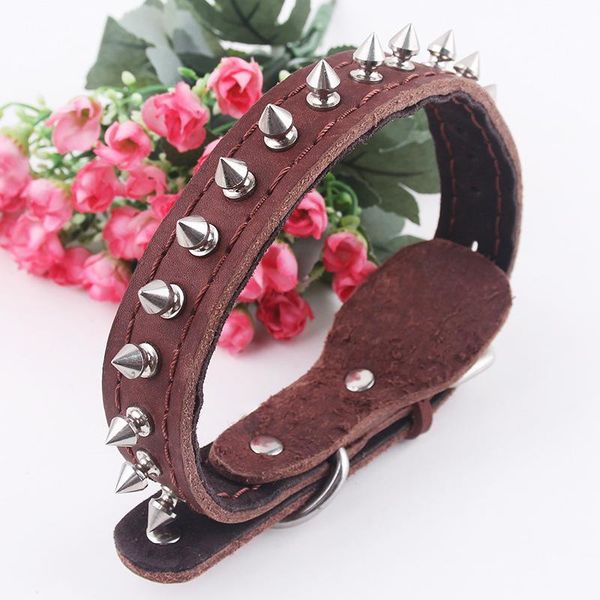 100pcs/lot pet supplies wanda true cowhide single row barbed nails collars 2.5 / 3.0cm dog & leashes
100pcs/lot pet supplies wanda true cowhide single row barbed nails collars 2.5 / 3.0cm dog & leashes