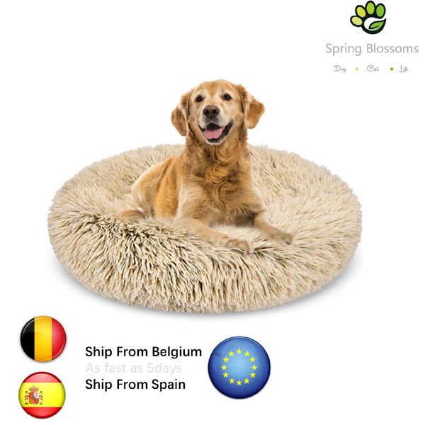 round cat beds donut dog bedsoft shag plush cat cushionanti-slip machine washable self-warming kennel-improved sleep for pets
round cat beds donut dog bedsoft shag plush cat cushionanti-slip machine washable self-warming kennel-improved sleep for pets