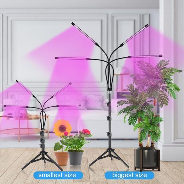 flower indoor floor adjustable tripod plant grow light phytolamp dimming timing led easy use with stand professional accessories lights
flower indoor floor adjustable tripod plant grow light phytolamp dimming timing led easy use with stand professional accessories lights