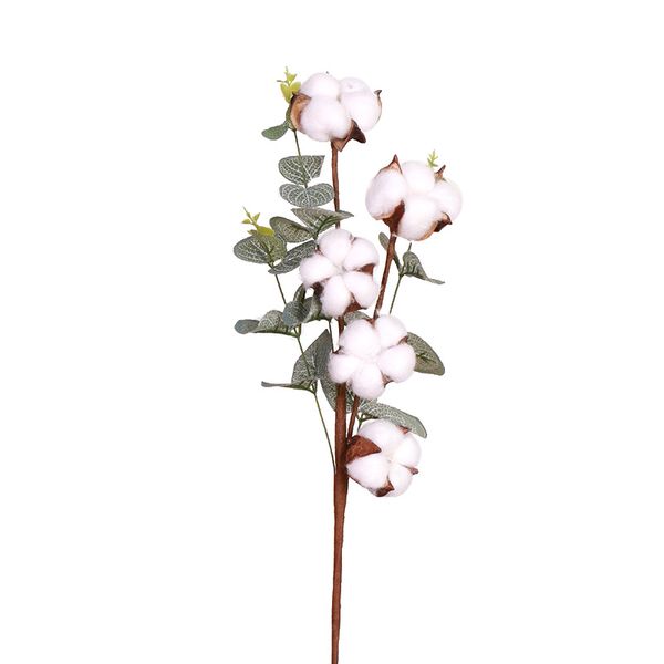 5bas per stem naturay dried cotton eucayptus eaf pants artificia fower fake cotton fower home wedding decor phragmites
5bas per stem naturay dried cotton eucayptus eaf pants artificia fower fake cotton fower home wedding decor phragmites