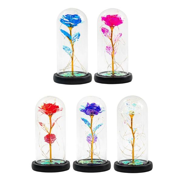 valentine's day gold foil rose night light eternal in glass dome led birthday christmas anniversary gifts strings
valentine's day gold foil rose night light eternal in glass dome led birthday christmas anniversary gifts strings