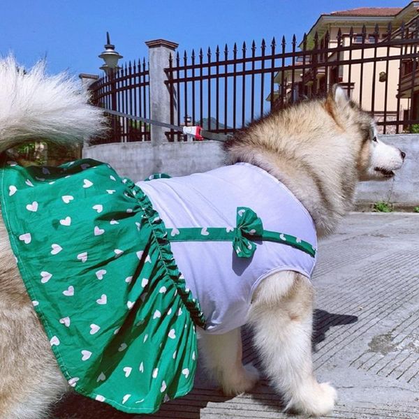 dog apparel pet supplies high waist sling clothes spring/summer cats and dogs cute flower skirt teddy bichon alaska golden retriever satsuma
dog apparel pet supplies high waist sling clothes spring/summer cats and dogs cute flower skirt teddy bichon alaska golden retriever satsuma