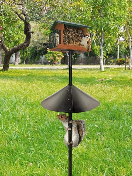 shade 16-inch squirrel baffle wrap around anti-squirrel cover partition accessories outdoor decor garden ornaments tools
shade 16-inch squirrel baffle wrap around anti-squirrel cover partition accessories outdoor decor garden ornaments tools