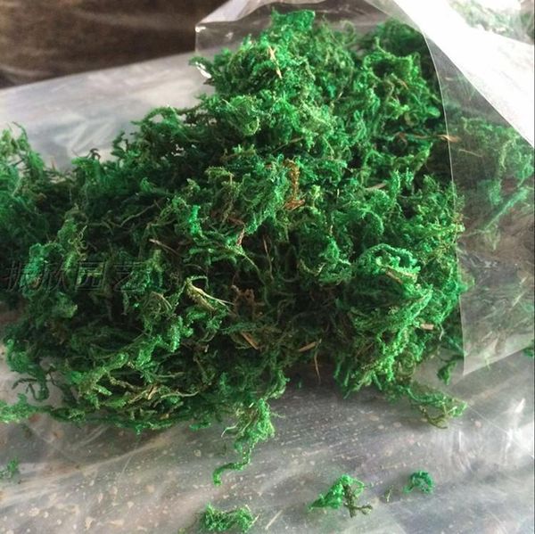 decorative flowers & wreaths natural 500g /bag dry real green moss plants vase artificial turf silk flower accessories flowerpot decoration
decorative flowers & wreaths natural 500g /bag dry real green moss plants vase artificial turf silk flower accessories flowerpot decoration