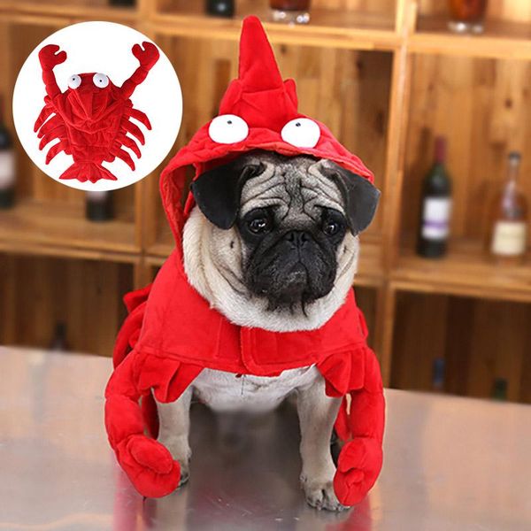 dog apparel pet clothes christmas halloween lobster costume for small medium dogs winter coat clothing jacket funny cat suit disguise
dog apparel pet clothes christmas halloween lobster costume for small medium dogs winter coat clothing jacket funny cat suit disguise