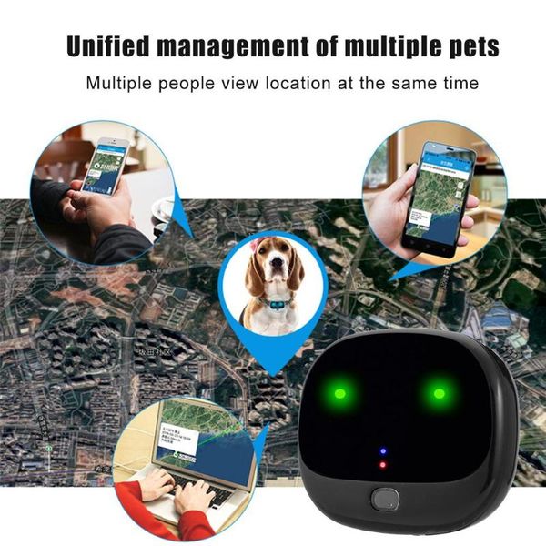 3g wcdma 2g gsm networks gps pet bell finding function kinemometer tracker and wifi fence low battery alarm anti-lost
3g wcdma 2g gsm networks gps pet bell finding function kinemometer tracker and wifi fence low battery alarm anti-lost