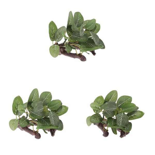 decorations set of 3 resin artificial water plants for reptile or aquarium tank green fit arboreal reptiles and amphibians - 9x6x8cm
decorations set of 3 resin artificial water plants for reptile or aquarium tank green fit arboreal reptiles and amphibians - 9x6x8cm