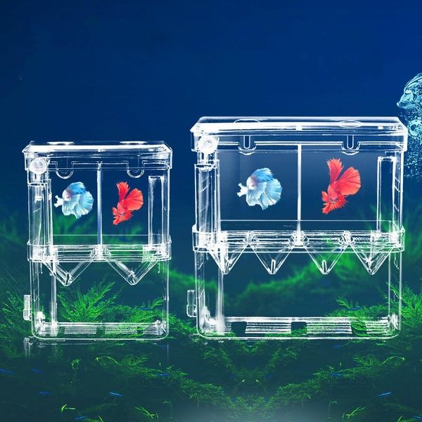 aquariums acrylic aquarium breeder box breeding incubator small fish hatchery for shrimp clownfish aggressive injured
aquariums acrylic aquarium breeder box breeding incubator small fish hatchery for shrimp clownfish aggressive injured