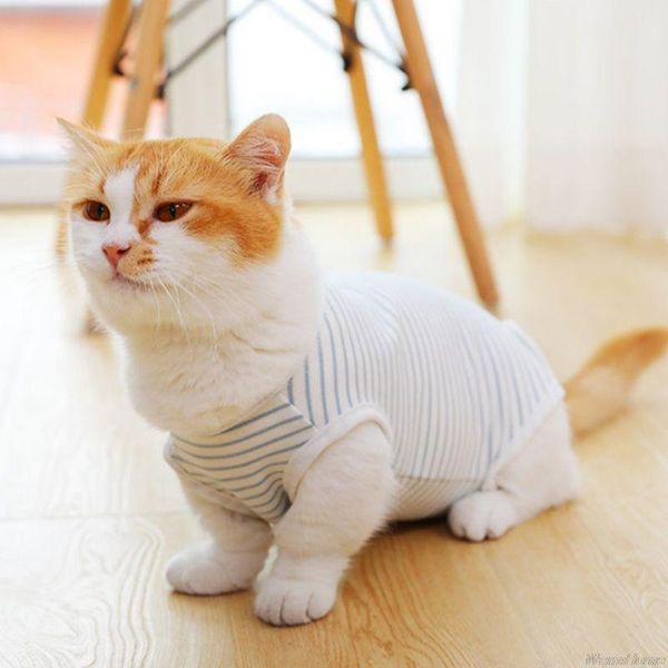 cat costumes recovery suit sterilization care pet kitten prevent lick after wear summer vest au19 21 drop
cat costumes recovery suit sterilization care pet kitten prevent lick after wear summer vest au19 21 drop