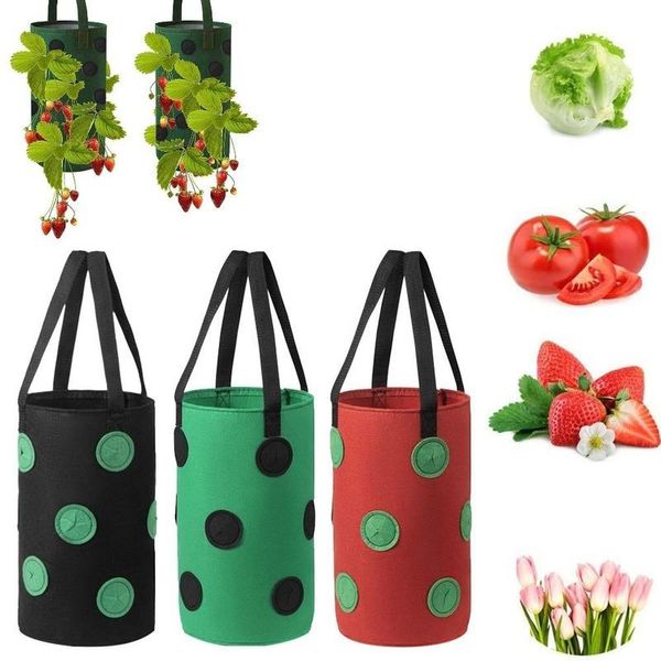 planters & pots strawberry grow bag hanging breathable durable reusable planting growing bags garden seedling
planters & pots strawberry grow bag hanging breathable durable reusable planting growing bags garden seedling