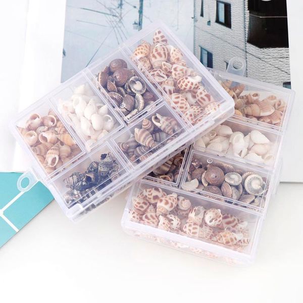 about 100pcs/box natural conch shells diy aquarium landscape seashells crafts/party decor mini corn screw wall decoration novelty items
about 100pcs/box natural conch shells diy aquarium landscape seashells crafts/party decor mini corn screw wall decoration novelty items