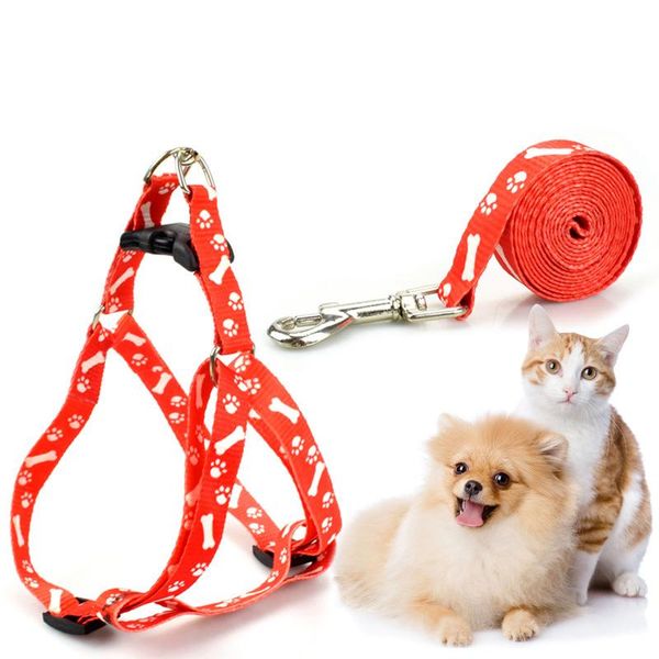 dog collars & leashes small cat harness leash adjustable vest collar puppy outdoor walking chihuahua terier schnauzer
dog collars & leashes small cat harness leash adjustable vest collar puppy outdoor walking chihuahua terier schnauzer