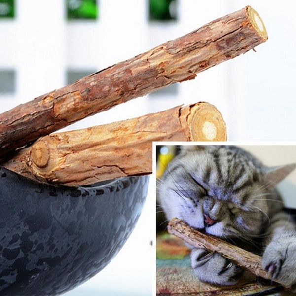 cat toys 2pcs pet kitten chew stick treat toy natural wood catnip molar chewing tool stick#yl
cat toys 2pcs pet kitten chew stick treat toy natural wood catnip molar chewing tool stick#yl