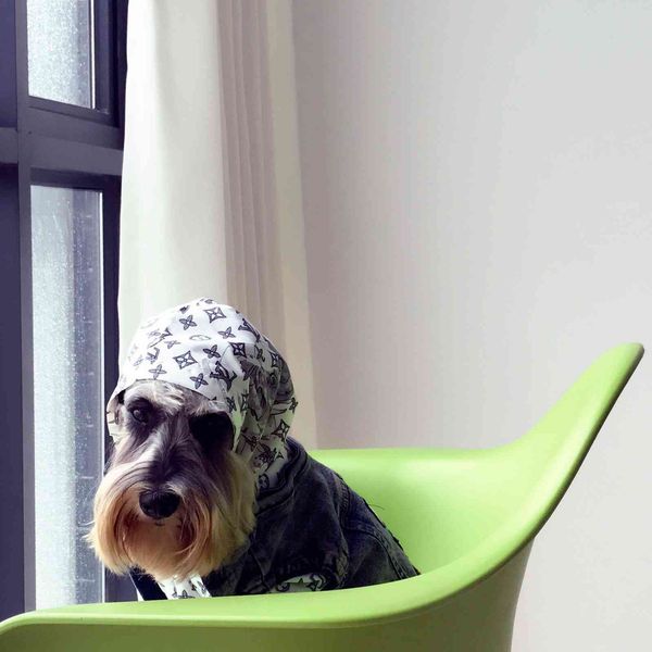 pet fashion cloth cat fadou bage teddy chenery dog autumn winter summer thin denim vt
pet fashion cloth cat fadou bage teddy chenery dog autumn winter summer thin denim vt