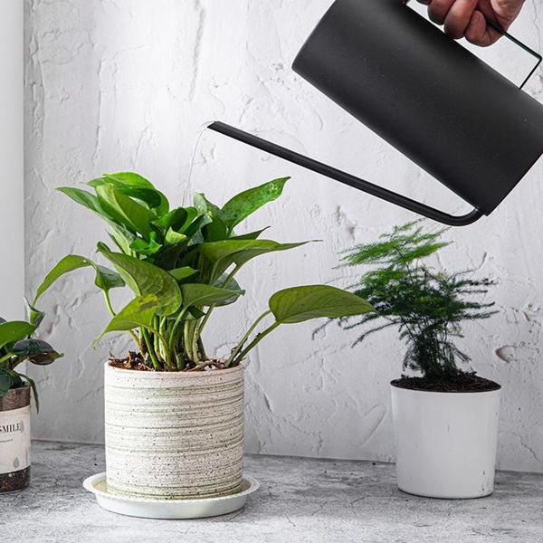 watering equipments outdoor indoor house plants pot large capacity gardening lawn care long-mouth stainless steel 1.5l retro can
watering equipments outdoor indoor house plants pot large capacity gardening lawn care long-mouth stainless steel 1.5l retro can