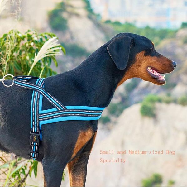 dog collars & leashes durable pet harness dogs training vest for small medium adjustable outdoor protective collar pitbull
dog collars & leashes durable pet harness dogs training vest for small medium adjustable outdoor protective collar pitbull