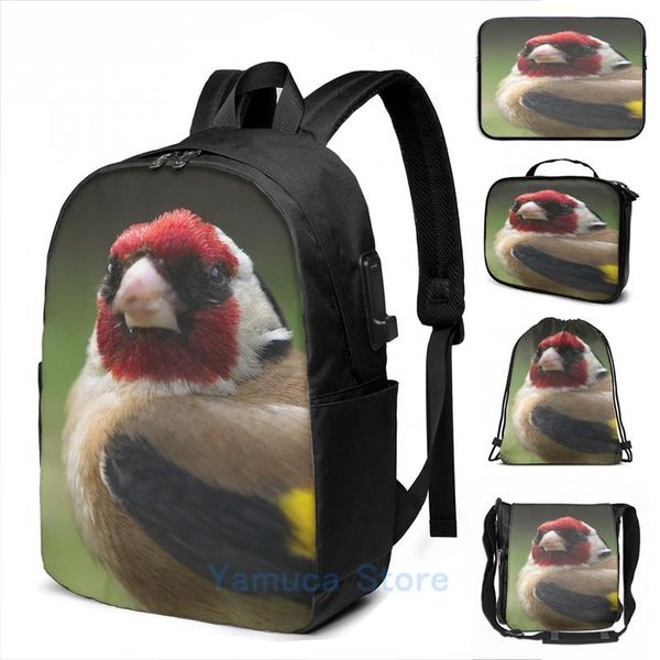backpack funny graphic print goldfinch usb charge men school bags women bag travel laptop
backpack funny graphic print goldfinch usb charge men school bags women bag travel laptop