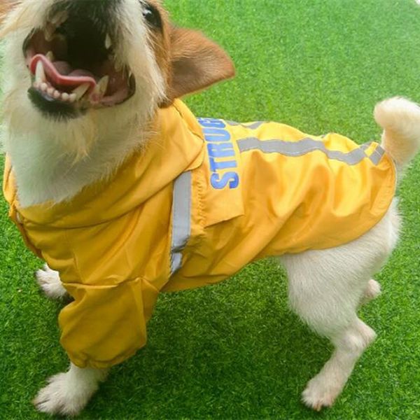 dog raincoat polyester teddy small puppy transparent plastic waterproof fashion pet supplies for chihuahua french bull apparel
dog raincoat polyester teddy small puppy transparent plastic waterproof fashion pet supplies for chihuahua french bull apparel